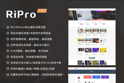 RiPro9.0主题全解密无后门版/无需安装扩展插件