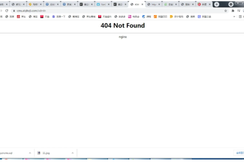 宝塔面板帝国cms全站伪静态后台输入admin显示404/nginx伪静态排除指定目录伪静态规则设置