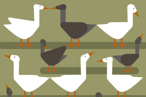 帝国CMS拼音目录去重复值id