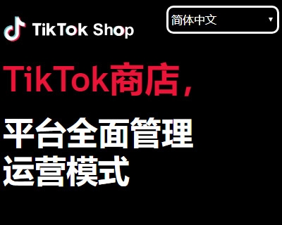 全新多语言TK内嵌APP下载页应用下载页/精仿TK卖家中心/语言自动切换